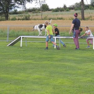Drei Kinder und ein Erwachsener beobachten einen Hund, der auf einer erhöhten Rampe in einem grasbewachsenen Außenbereich läuft, möglicherweise auf einem Hundetrainings- oder Agility-Parcours.