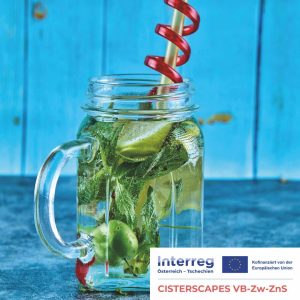 Ein Einmachglas mit Henkel enthält ein Getränk mit Limette, Minze und Erdbeeren, gekrönt von einem roten Spiralstrohhalm, auf einer blauen Holzfläche. Die Logos der EU-Projekte befinden sich in der unteren rechten Ecke.