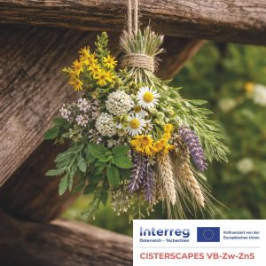 Ein Strauß aus Wildblumen und Weizen ist mit einem Seil gebunden und hängt an Holzbalken. Die Logos von Interreg und der Europäischen Union sind am unteren Rand zu sehen.
