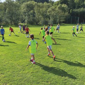Kinder üben auf einer Wiese Fußballübungen mit einem Ball, während Erwachsene sie beaufsichtigen. Im Hintergrund sind Bäume und ein Torpfosten zu sehen.