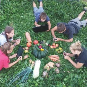 Vier junge Leute liegen im Gras und benutzen elektronische Geräte, um eine Auslage mit verschiedenen Gemüsesorten, Früchten und Brot, die kreisförmig auf dem Boden angeordnet sind.